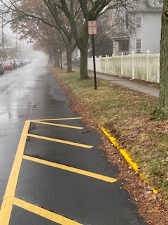 A sign says NO PARKING ANY TIME. Whimsical paint stripers have laid down NO PARKING yellow paint in front of the sign.