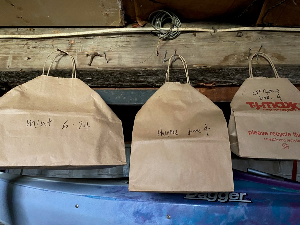 In a dank basement, three paper bags hang from crooked old nails hammered into an ancient beam. You should fear spiders.